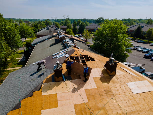 Best Gutter Installation and Roofing  in Marion, NC